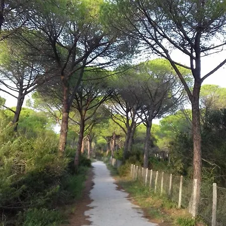 Grosseto 酒店 里斯佩施雅