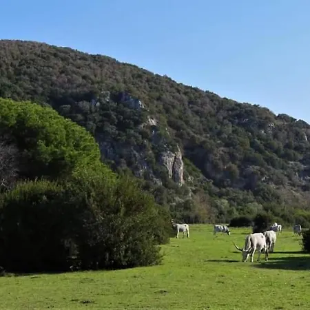Grosseto *