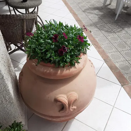 Grosseto