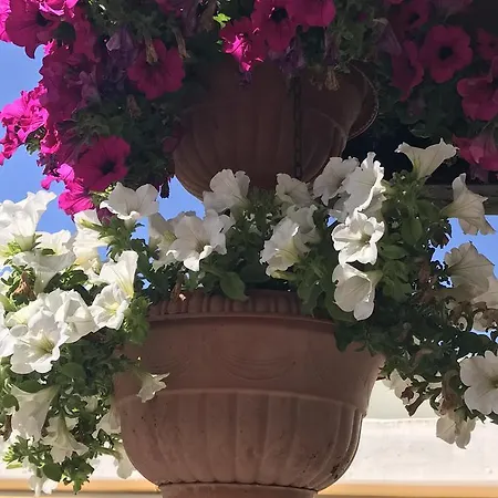 Grosseto Szálloda *