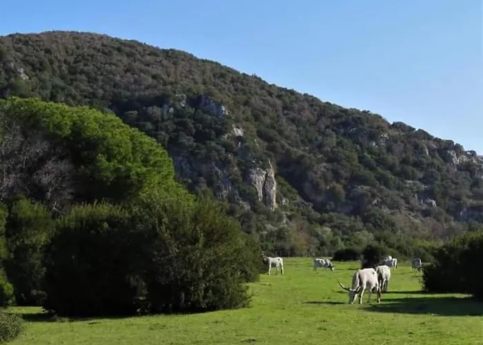 Grosseto *