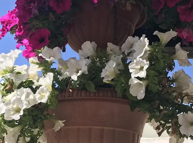 Grosseto Ξενοδοχείο *