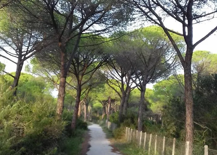 Grosseto Ξενοδοχείο Rispescia